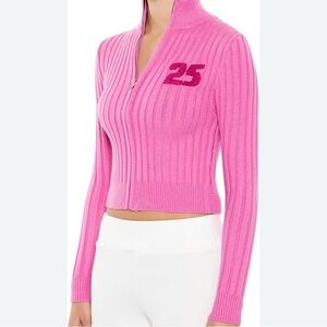Forever 21 Magenta Ribbed Sweater